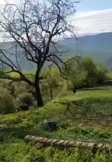 1500 متر زمین داخل بافت