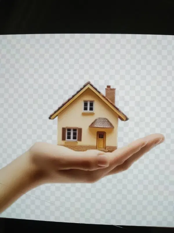زمین ۲۰۰متری در ولیعصر۲