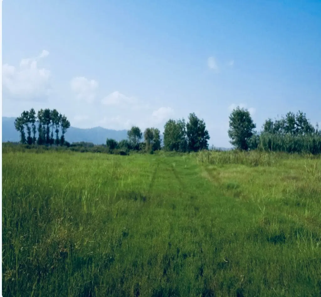فروش زمین باغی قسطی سیدمیران ، متراژ از ۵۰۰ متر