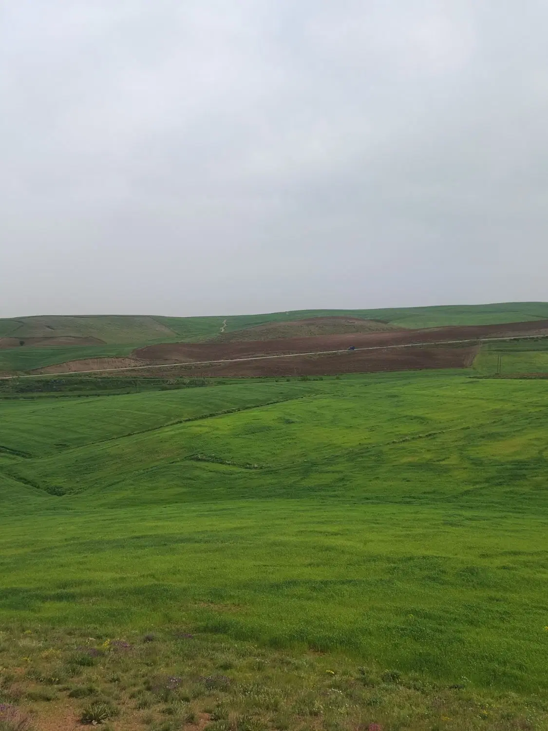 زمین قرادیان