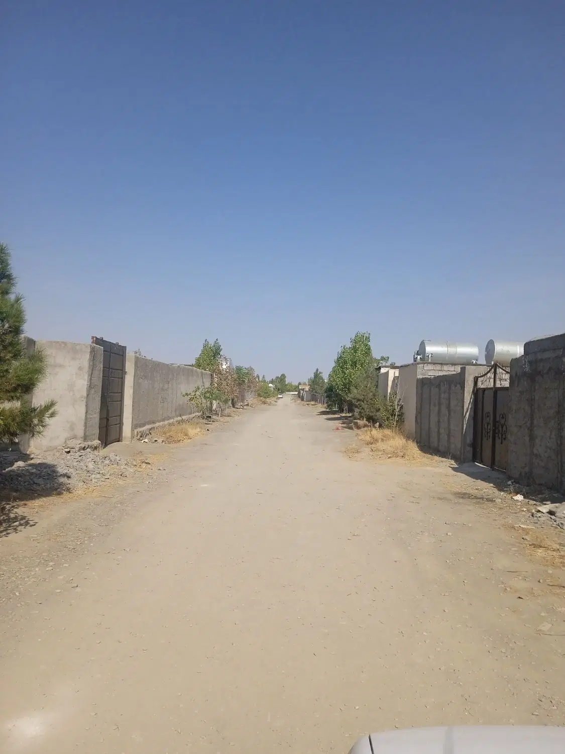 زمین دور دیوار ناظریه نیلوفر