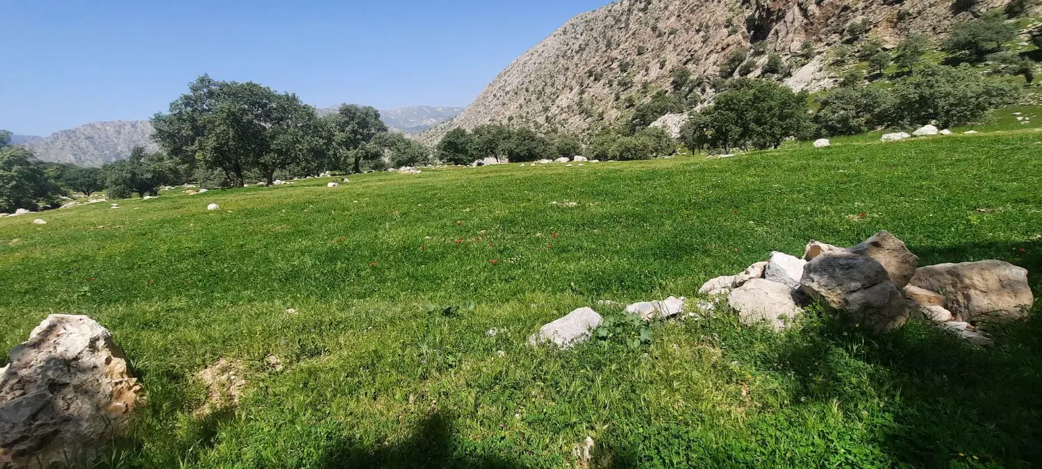 ۵۰۰متر زمین تجاری