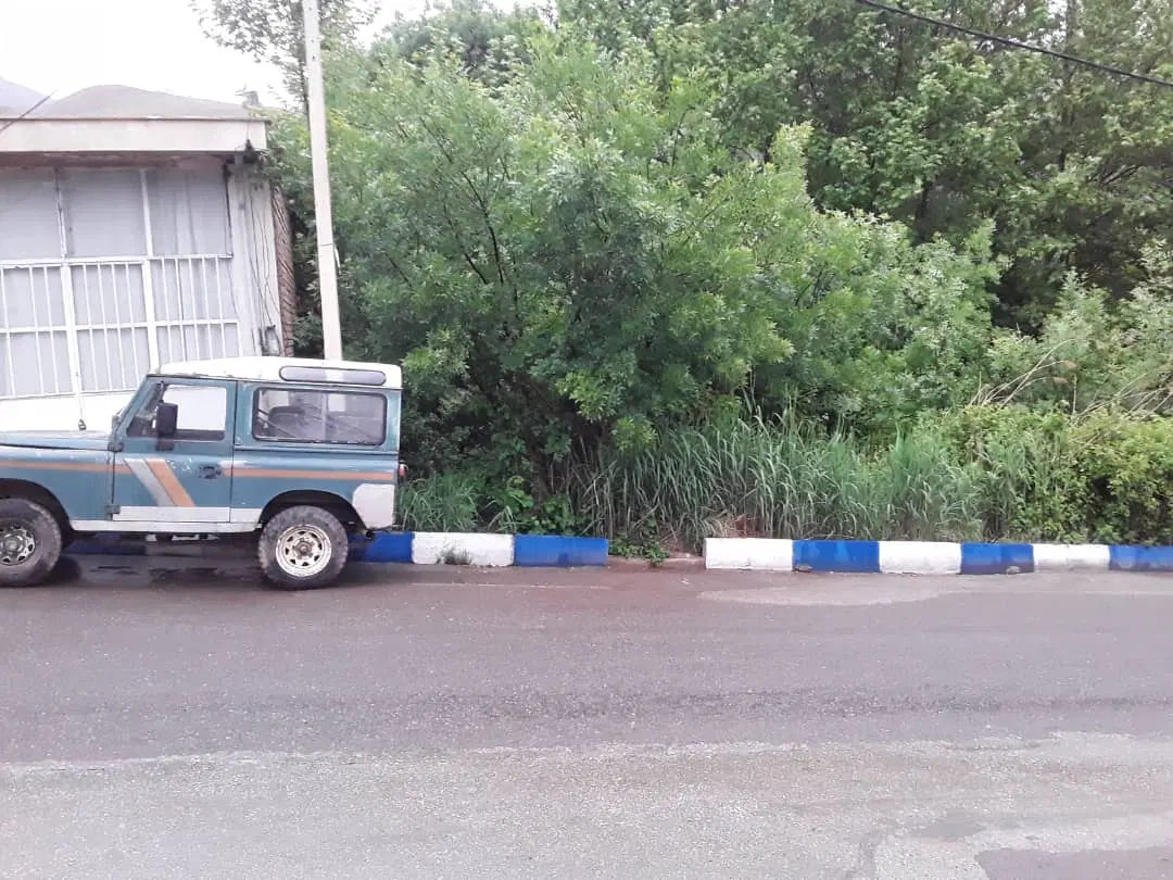 معلم کلایه براصلی سند تک برگ باجواز