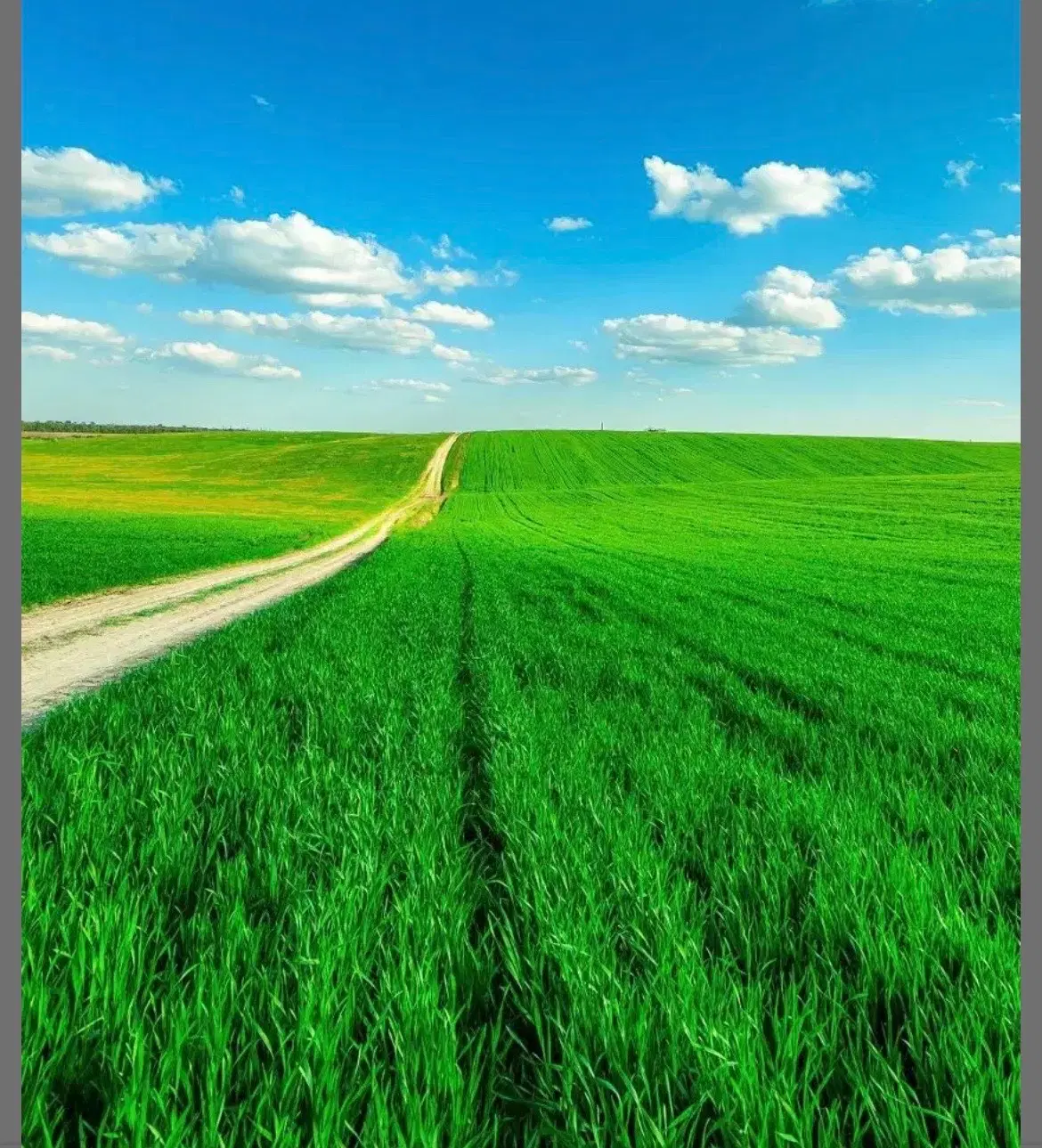 فروش زمین سند دار