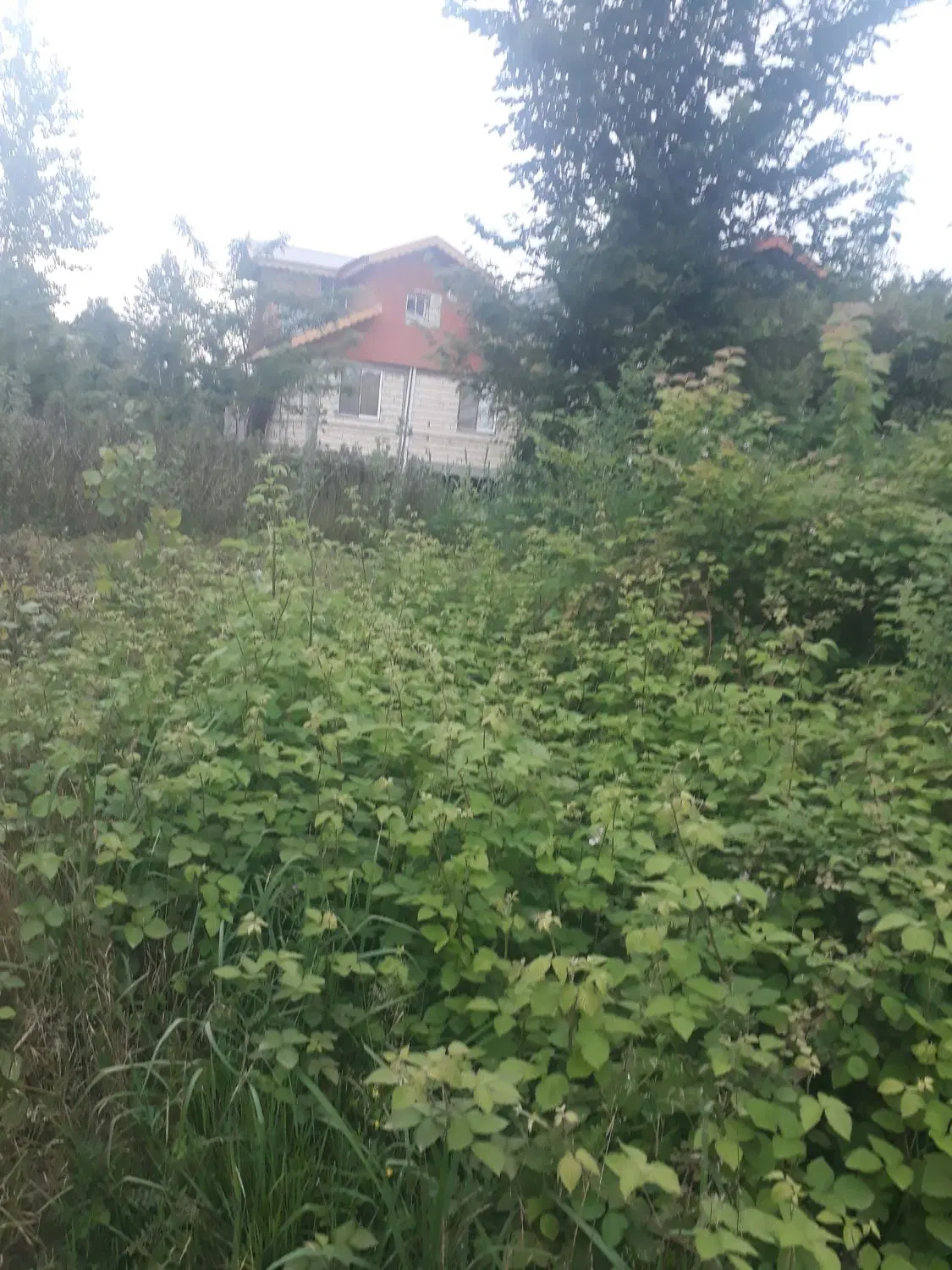 ۳۰۰ متر زمین در روستای گران