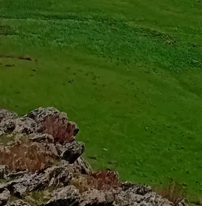 زمین