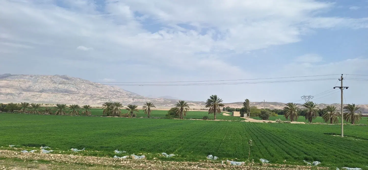 فروش زمین  هزار متری باغ شهری نیمه