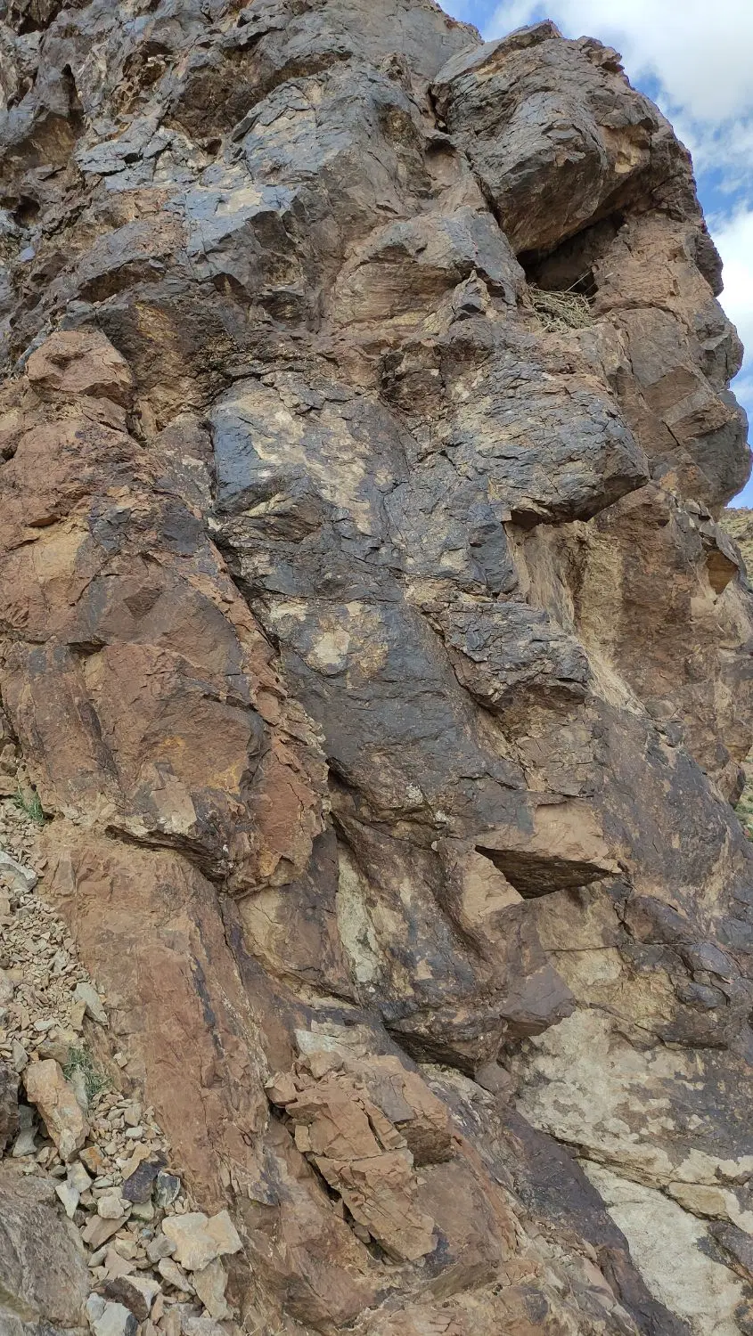 باغ برای کافه رستوران