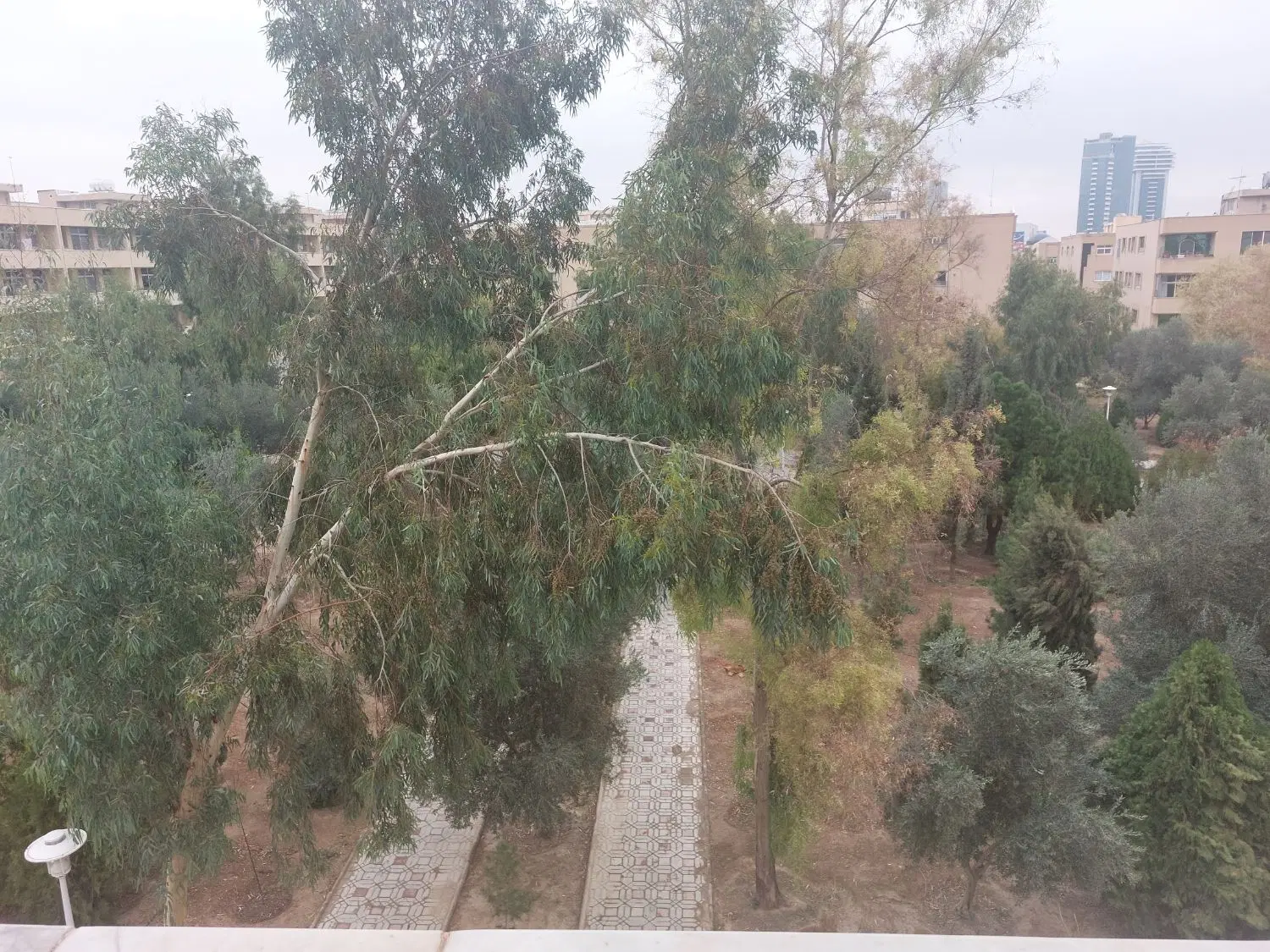 آپارتمان دو خوابه