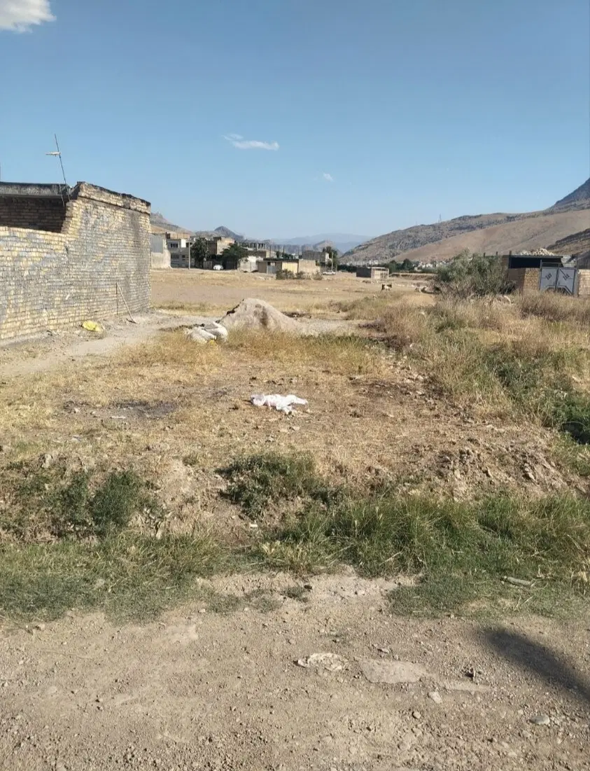 زمین نگارستان ۲۴