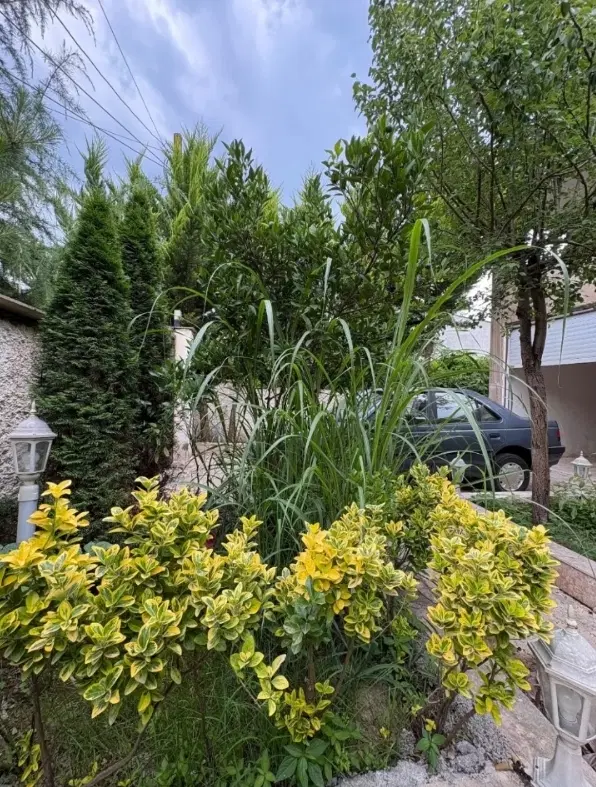 رهن و اجاره ویلایی آبرسانی دو