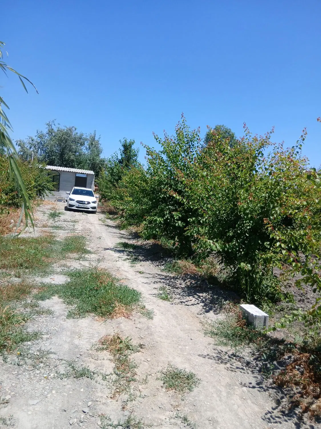 باغچه الوان ویلایی
