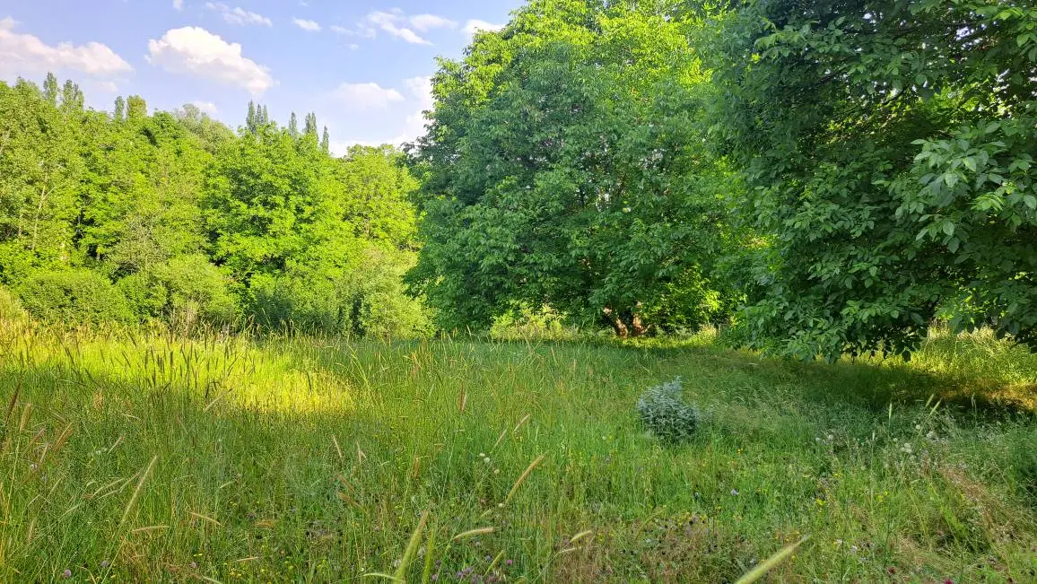 فروش زمین ۱۷۵۰ متری ،دیلمان، روستای لیه