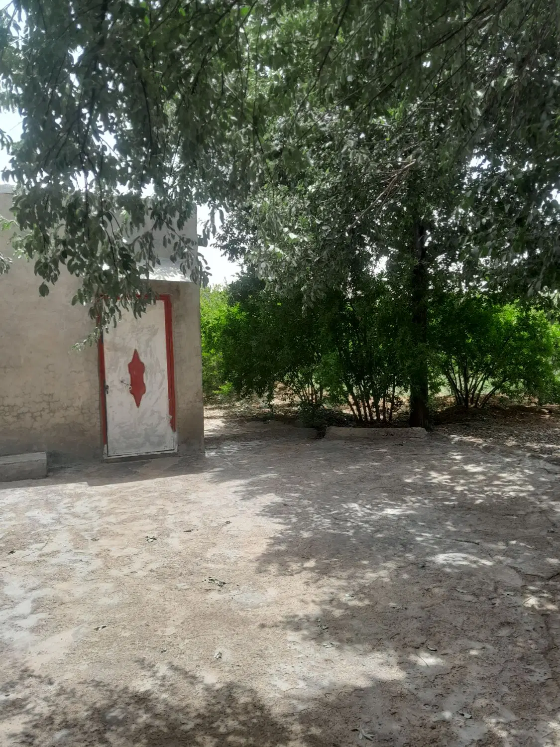 باغ فروشی
