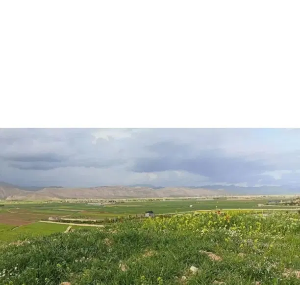 ی قطعه زمین تجاری مسکونی در  سهیلی