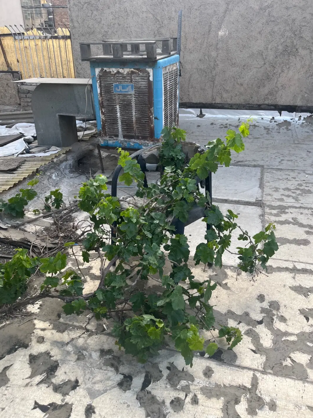 خانه دربست اتابک