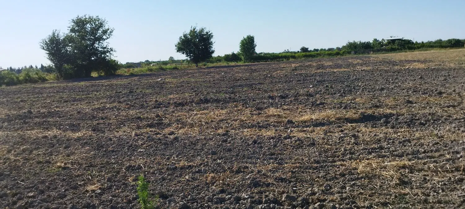 زمین کشاورزی