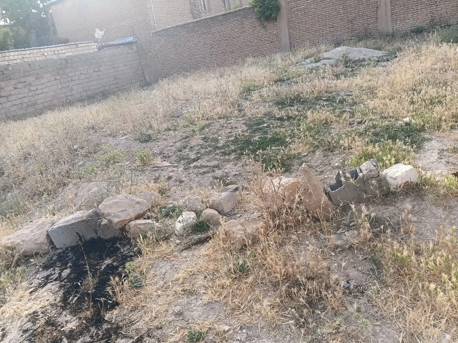 پلاک زمین