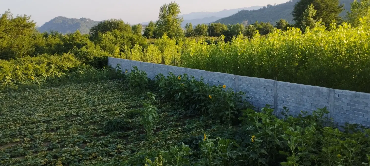 فروش زمین