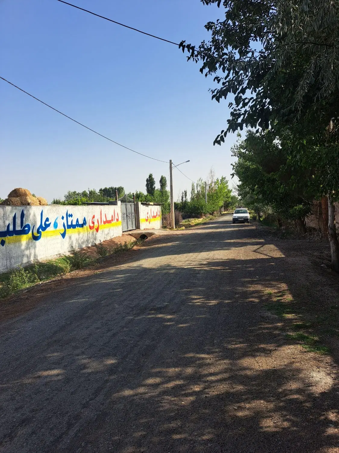 بهترین خیابان پیشک یک ولی خیری