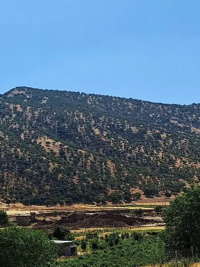 زمین کشاورزی آینده دار رباط