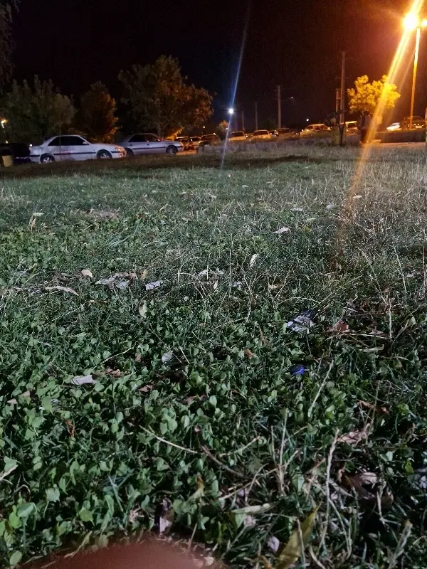 زمین شرف آباد