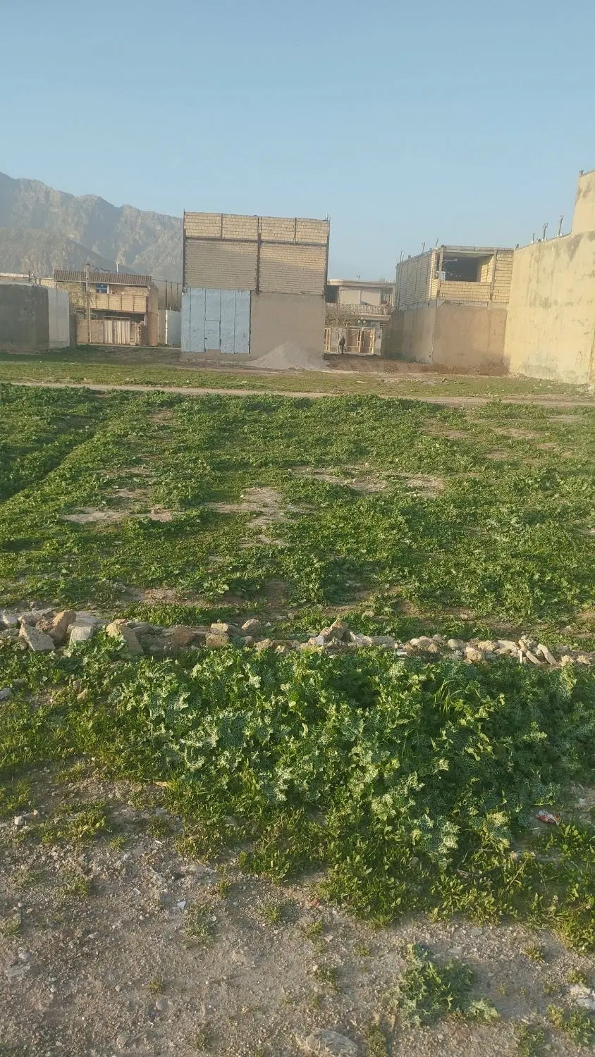 زمین تلوری علیا