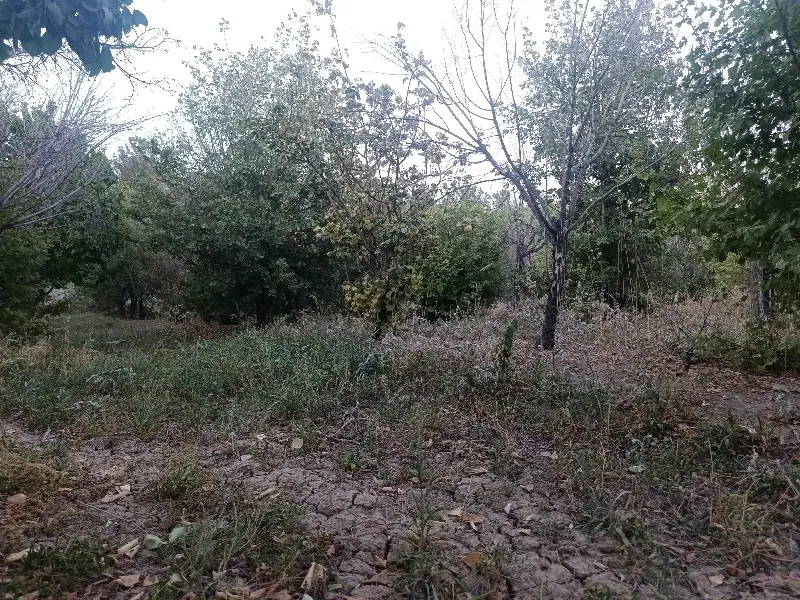 فروش باغ محمودآباد