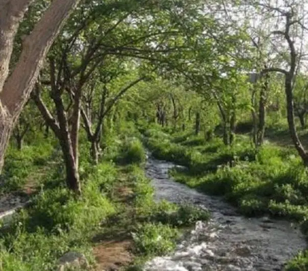 ده قصب زمین شهرک آب