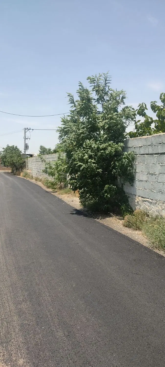 باغ