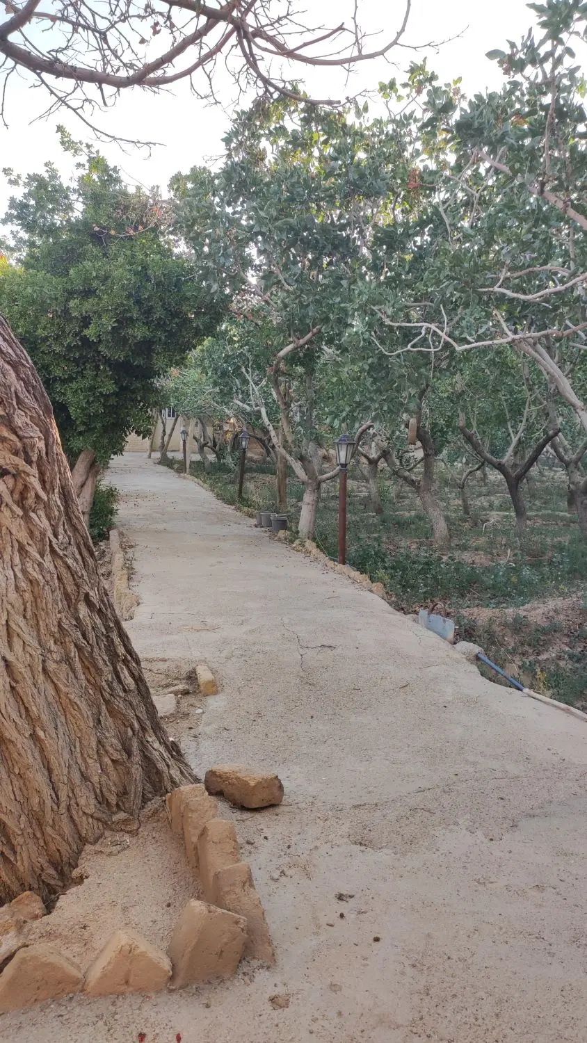 باغ بسته