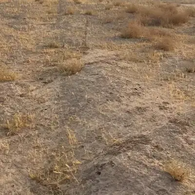 زمین بلوار خلیج فارس زیر گذر