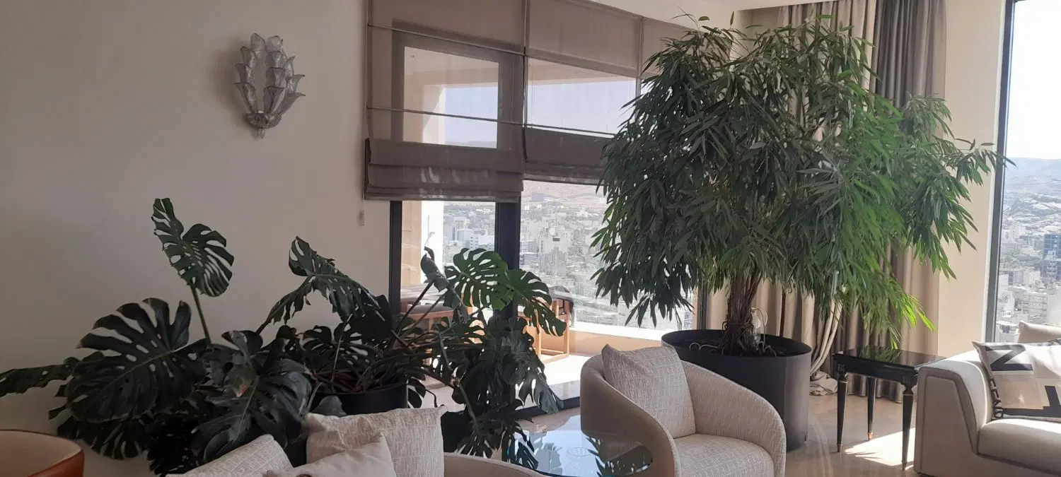 ۸۵ متری عبدالمطلب لوکیشن عالی