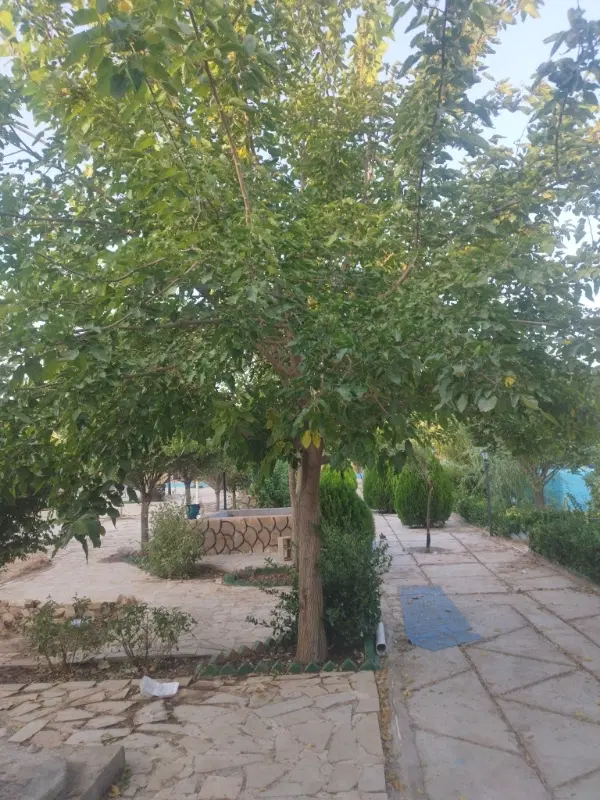 زمین فروشی باغ ویلا