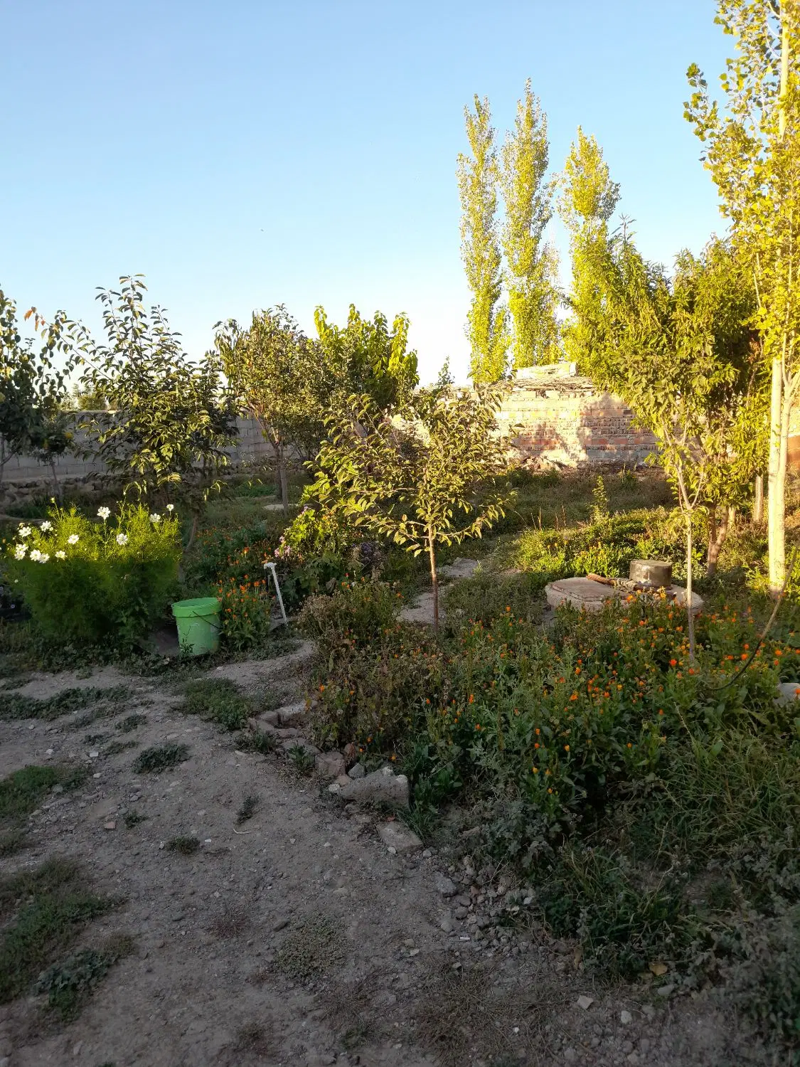 زمین باغ