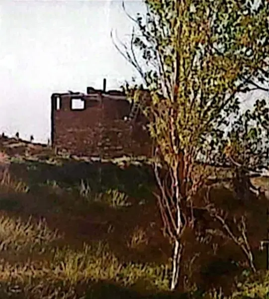 باغ ۱۱۸۲۰ متر ورکانه