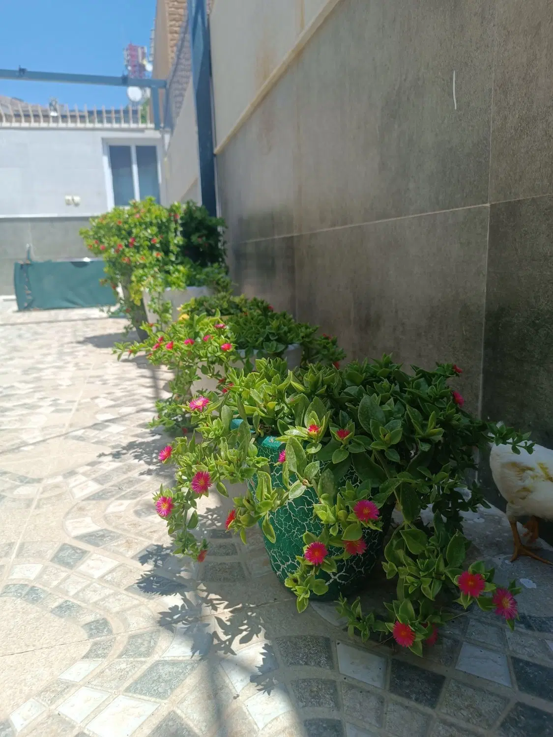 یک واحد آپارتمان  160 متر خ سوم قاضی آباد