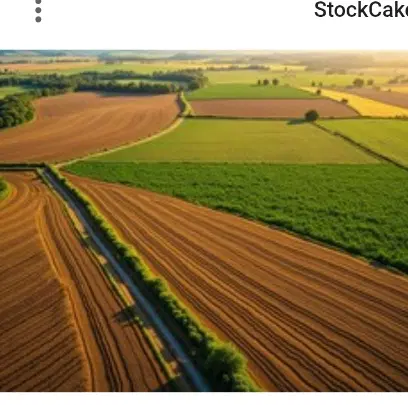 زمین کشاورزی کنار جاده اصلی روستای اژدهاتو