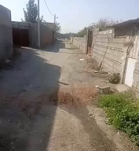 سالن تمیز برای پرورش بوقلمون