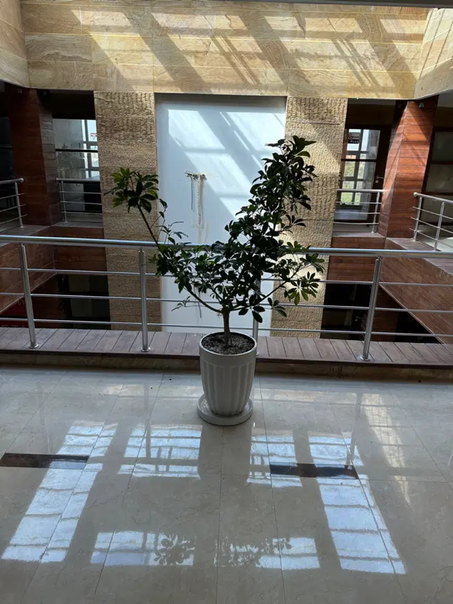 آپارتمان دوخواب اجاری