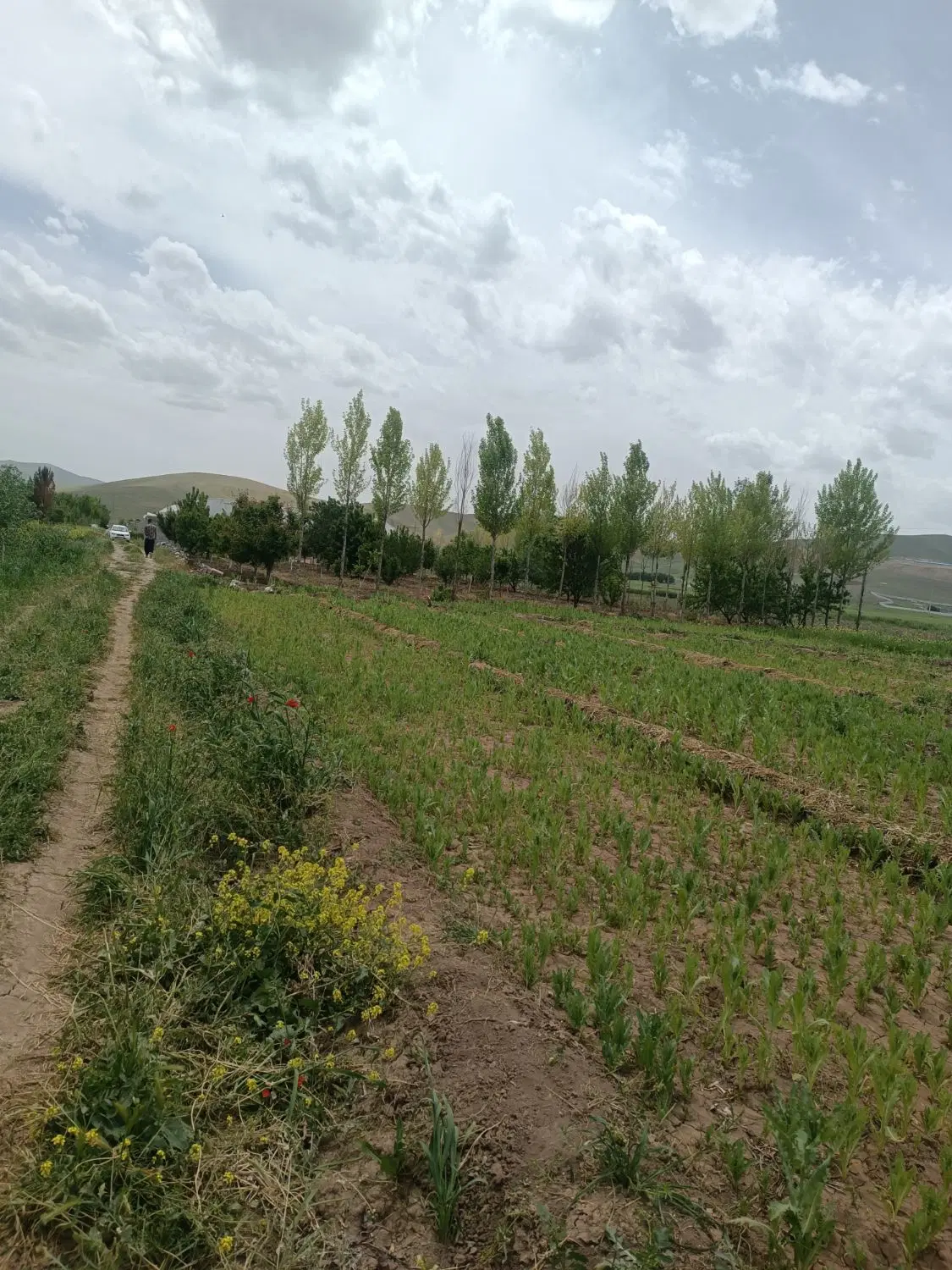 زمین باغ کوچه باغ و سهمیه چاه آب دولتی کهریز الهیه