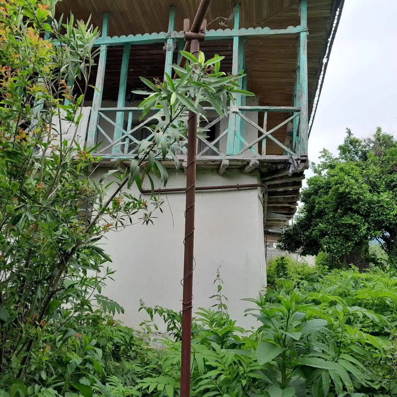 زمین فروشی مسکونی و باغی
