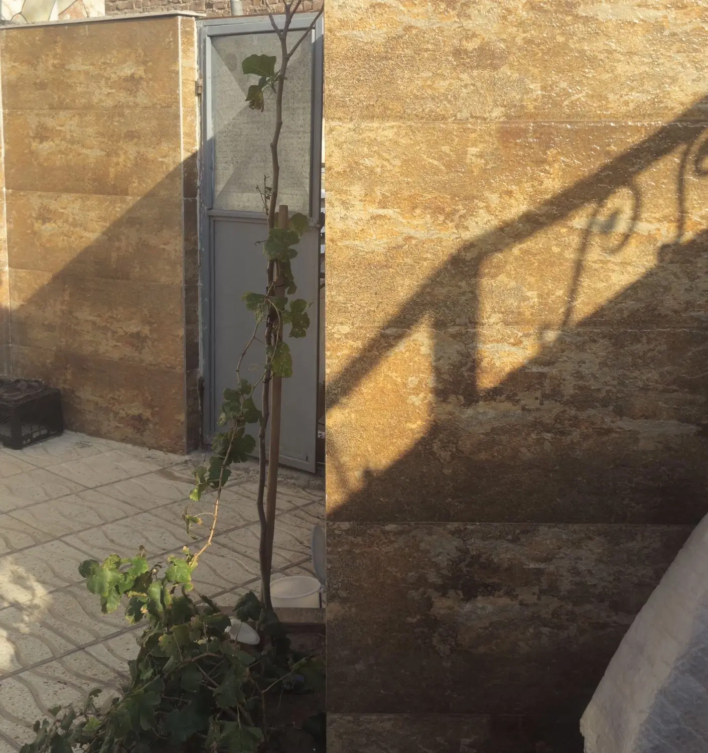 اجاره سوئیت ۵۰ متری شرف اباد مطهری