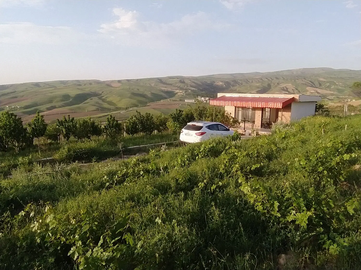 باغ ویلایی