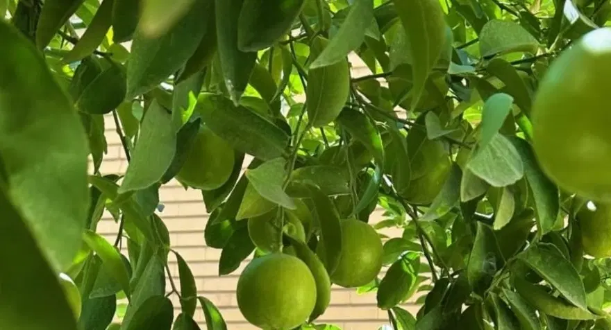 منزل ویلایی دوطبقه