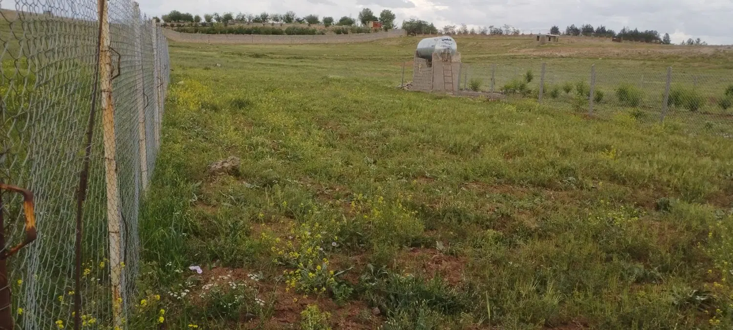 زمین باغی