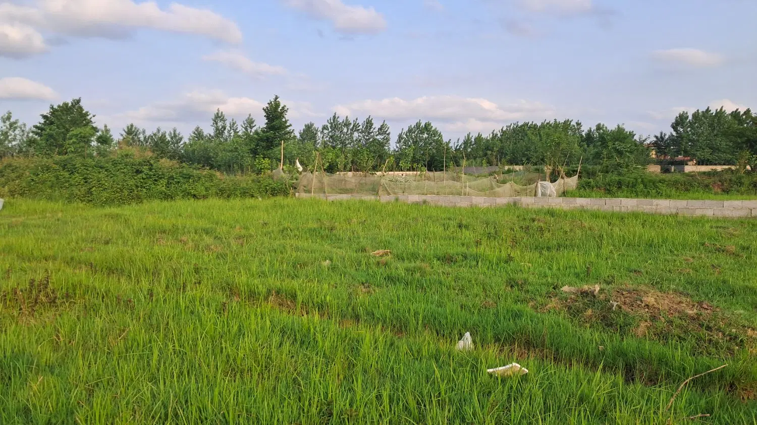 زمین