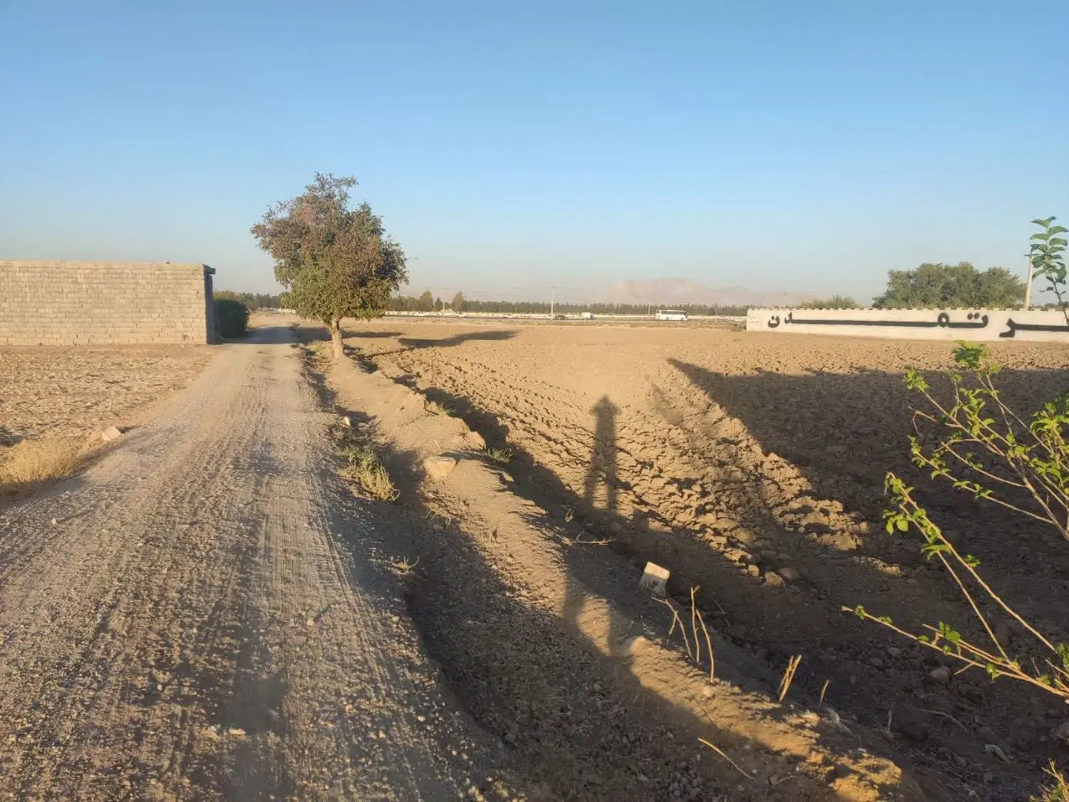 زمین باغی کشاورزی