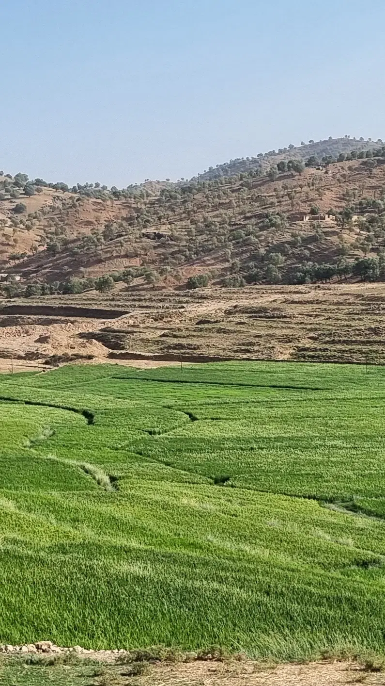 مینوشهر زمین ۴۰۰ متری  جزیره مینو