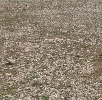 زمین کشاورزی روستا چشمه بید